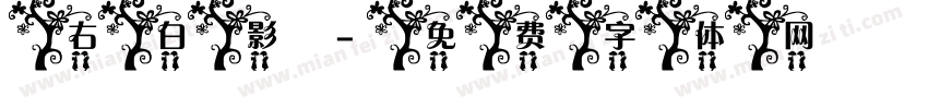 右白影字体转换
