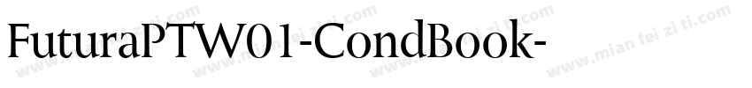 FuturaPTW01-CondBook字体转换