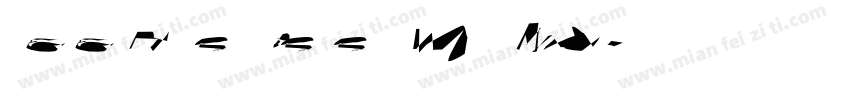 SSH·2022·WMX字体转换