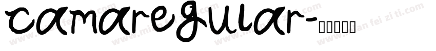 camaregular字体转换