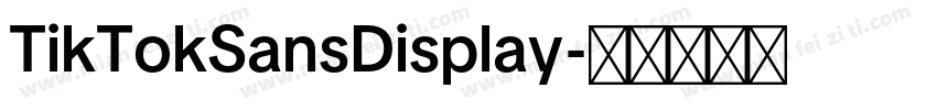 TikTokSansDisplay字体转换