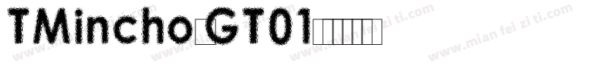 TMincho-GT01字体转换