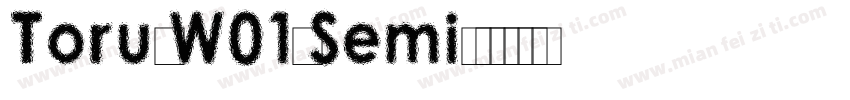 TorusW01-Semi字体转换