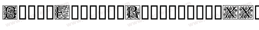 BlockFactoryRegular-d1XX字体转换