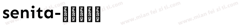 senita字体转换