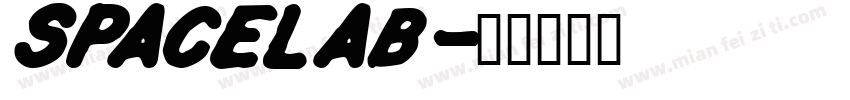 spacelab字体转换