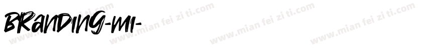 branding-mi字体转换