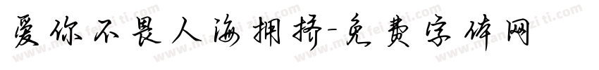 爱你不畏人海拥挤字体转换