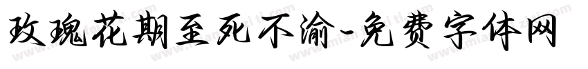 玫瑰花期至死不渝字体转换
