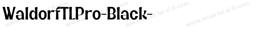 WaldorfTLPro-Black字体转换