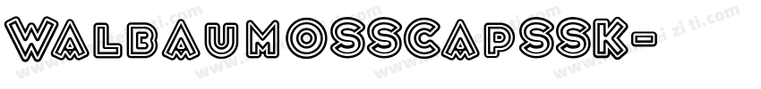 WalbaumOSSCapSSK字体转换