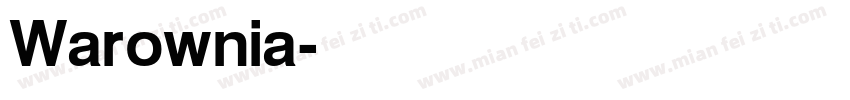 Warownia字体转换