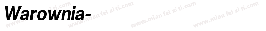 Warownia字体转换