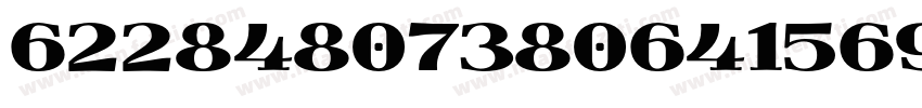 6228480738064156974字体转换