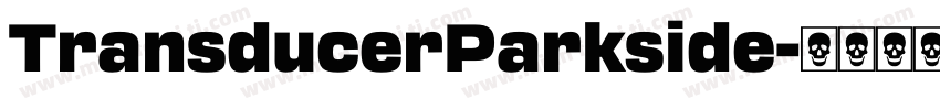TransducerParkside字体转换