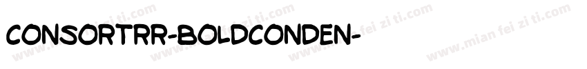 ConsortRR-BoldConden字体转换