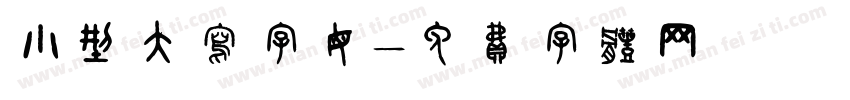 小型大写字母字体转换