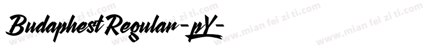 BudaphestRegular-48pY字体转换