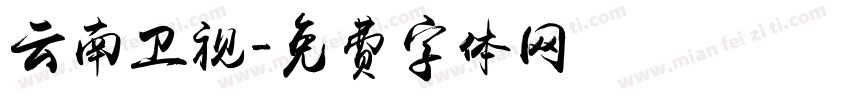 云南卫视字体转换