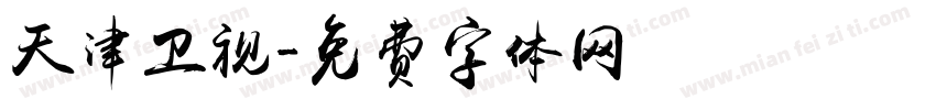 天津卫视字体转换