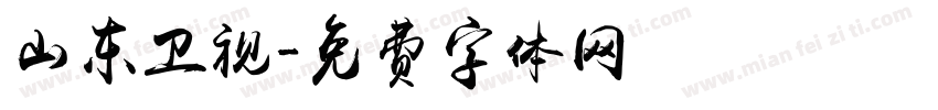 山东卫视字体转换