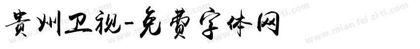 贵州卫视字体转换