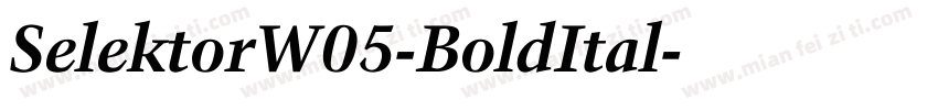 SelektorW05-BoldItal字体转换