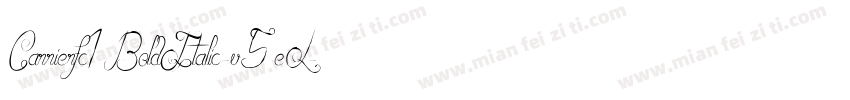 Carrierfc1BoldItalic-v5eL字体转换