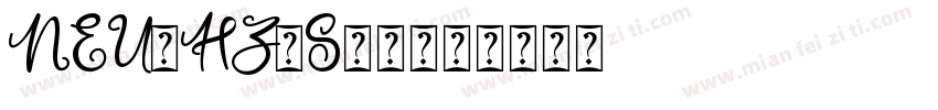 NEU-HZ-S92字体转换