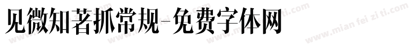 见微知著抓常规字体转换