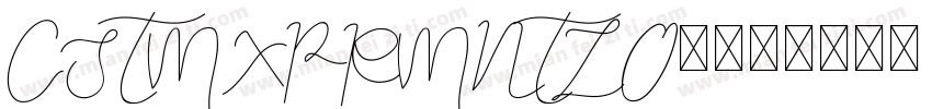 CSTMXPRMNTLO1字体转换