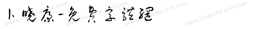 卜晓康字体转换