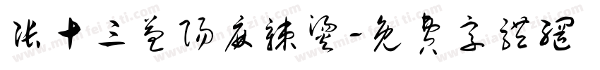 张十三益阳麻辣烫字体转换