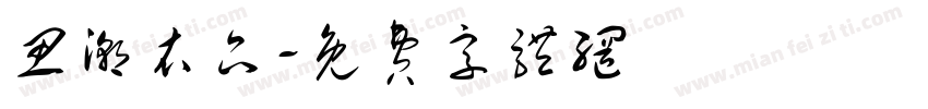 思潮衣品字体转换