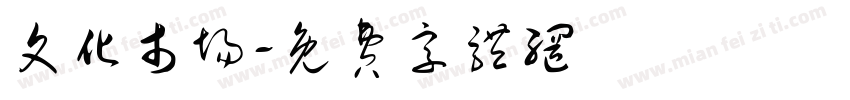 文化市场字体转换