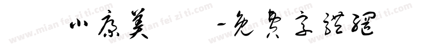 漢儀小康美術體字体转换