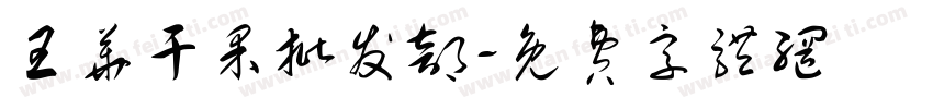 王华干果批发部字体转换