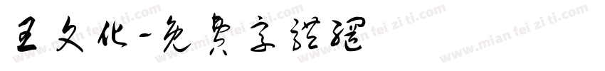 王文化字体转换