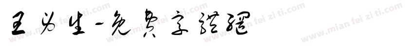 王身生字体转换