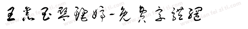 王鑫玉琴丽婷字体转换