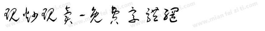 现炒现卖字体转换