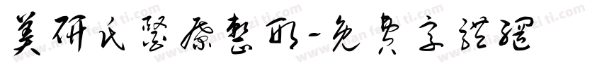 美研氏医疗整形字体转换