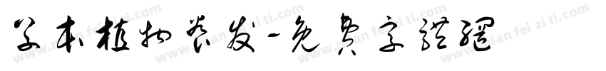草本植物养发字体转换