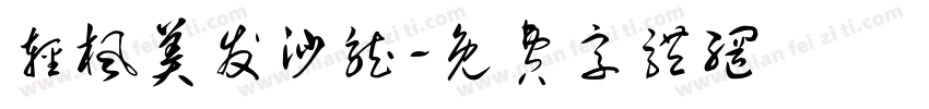 轻枫美发沙龙字体转换