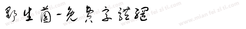 野生菌字体转换