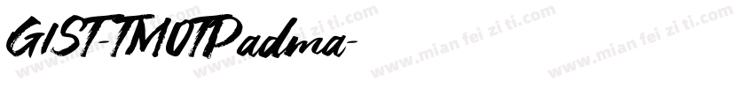 GIST-TMOTPadma字体转换