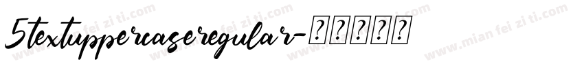 5textuppercaseregular字体转换