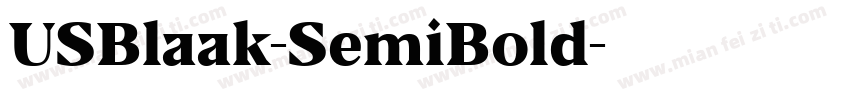 USBlaak-SemiBold字体转换