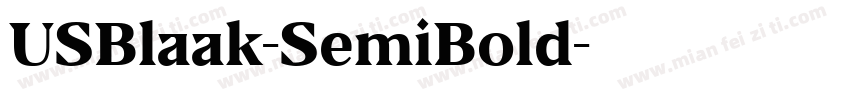 USBlaak-SemiBold字体转换