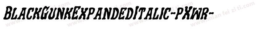 BlackGunkExpandedItalic-pXwr字体转换